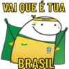 TORCENDO COM FLORK🇧🇷🟩🟨 7