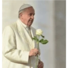 Papa Francisco🕊️ 13