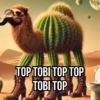 Meme Tiktok Brainrot (2) 5