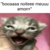 Frases amor/engraçadas 6