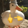 🦆PATOS 🦆 17