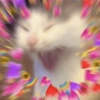 Gatitos amor 💘 7