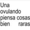 Frases Brat 12