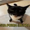 SUA PORCA IMUNDA