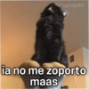 Paraguayita
ia no me zoporto
maas