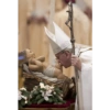 Papa Francisco🕊️ 14