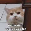 perimisiiiii, ayang nya ada?