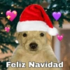 🎄Navidad/Nuevo Año Mood🎇 8