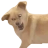 Stickers without context 6