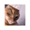 Michis 6