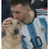 Animales Graciosos 😂 6