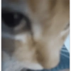 ^⎚ ˕ ⎚^Michis CaÓticos🐾 11