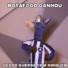 Cavalinho do Botafogo 14
