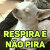 MEMES PUTOS 9