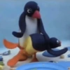 Pingu 🐧 21