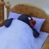 Pingu 🐧 18