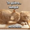 Te quiero... aunque no se note