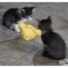 ^⎚ ˕ ⎚^Michis CaÓticos🐾 9