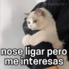 Paraguayita
nose ligar pero
me interesas