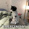ALO?
EMERGENCIA?