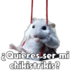 💞🐹Hamstercitos De Amor🐹💞 12