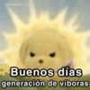 @paraguayita_01 Buenos días generación de víboras