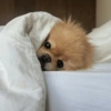 MOOD FIM DE SEMANA 19