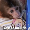🐒 Macaco pra Reagir 13