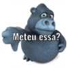 Macacos fofinhos 9
