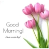 Good morning 24