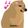 bomnito