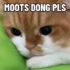 Moots 5