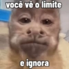 🐒 Macaco pra Reagir 24