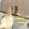 Memes de academia 🏋️🥵 7