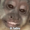 🐒 Macaco pra Reagir 5