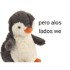 pero alos lados we