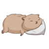 Stickers 15