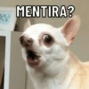 SHITPOST BOM DEMAIS 15