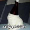 Meemes de animalitos 3🥵✨ 14