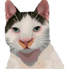 Michis Pixelados ≫🐈≪ 11