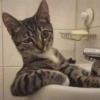 TUO