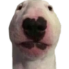 Xdxd 27
