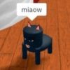 Roblox 24