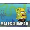 MALES SUMPAH