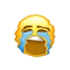 EMOJI 13