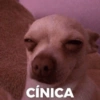 CÍNICA