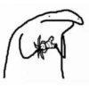 Florkofcows 20