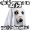💫 Memes Halloween🤣❣️ 14
