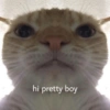 hi pretty boy