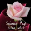 Selamat Pagi
Salam sehat